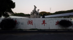 卖羊肉还卖成了网红？嘉兴“羊老倌”沈老板的生意经果然有一套！