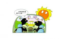 酷暑当下 好猫vs海豚 健康环保谁更强？